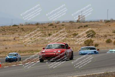 media/May-03-2025-Lucky Dog Racing (Sat) [[206de64b9d]]/Turn 6 (150pm-230pm)/